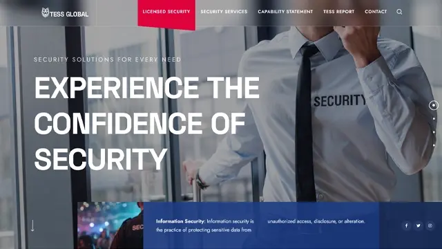 TESS Global security services website with professional dark-themed design